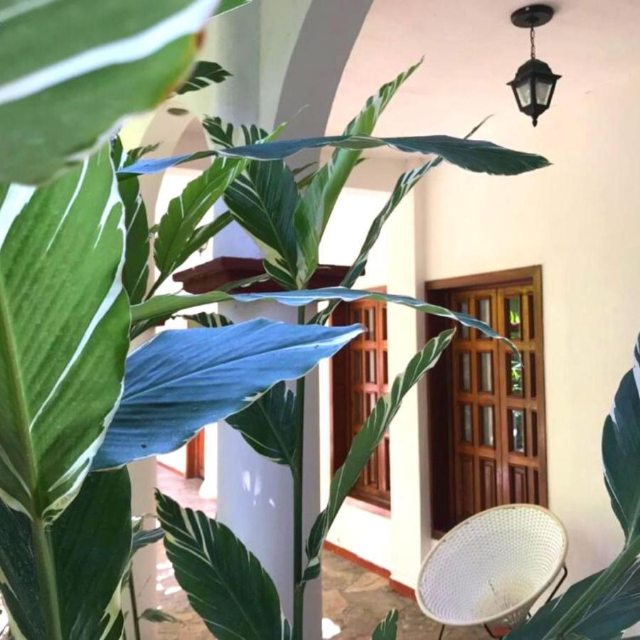 Hotel La Ceiba Chiapa de Corzo Exterior photo